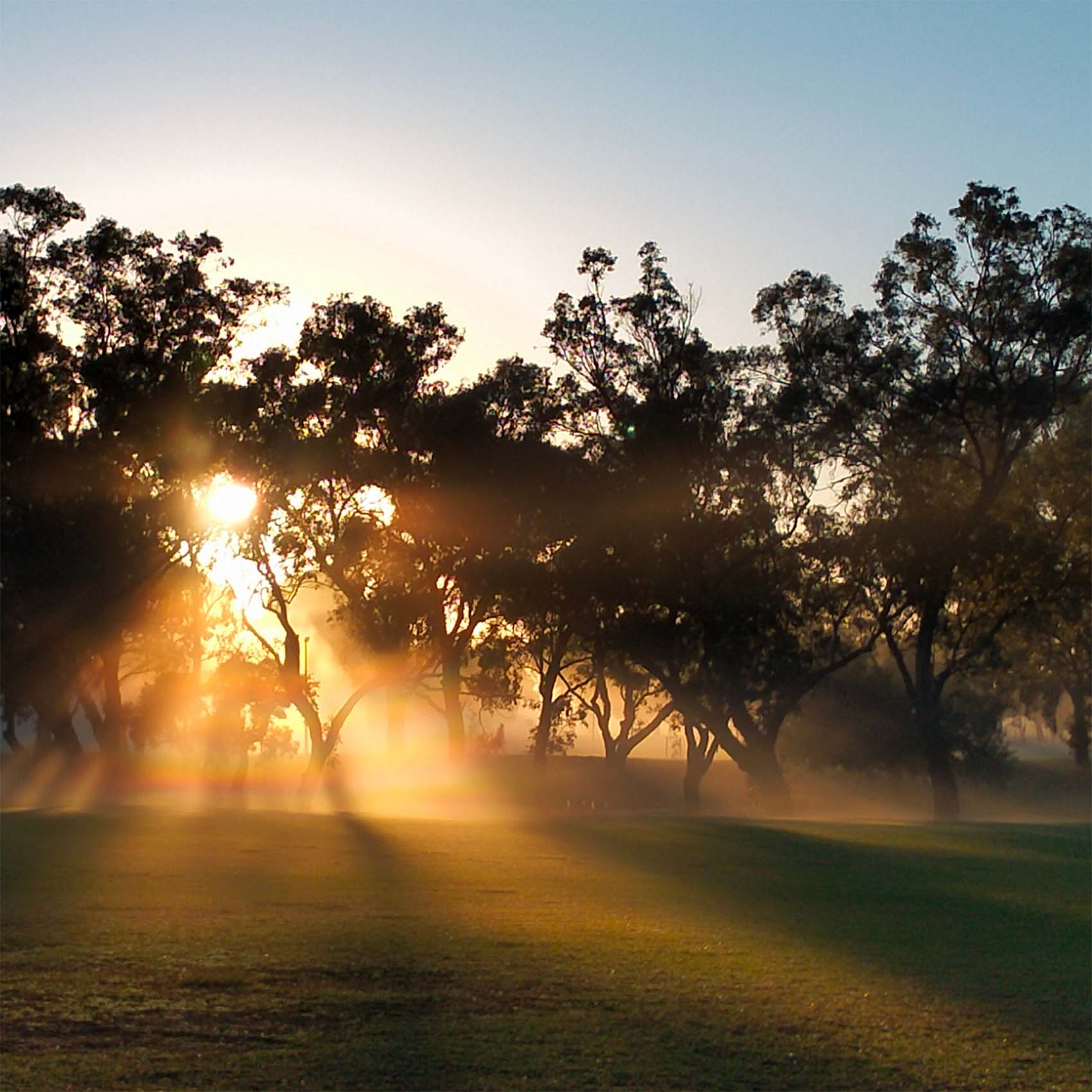 Yokine Reserve Sunset